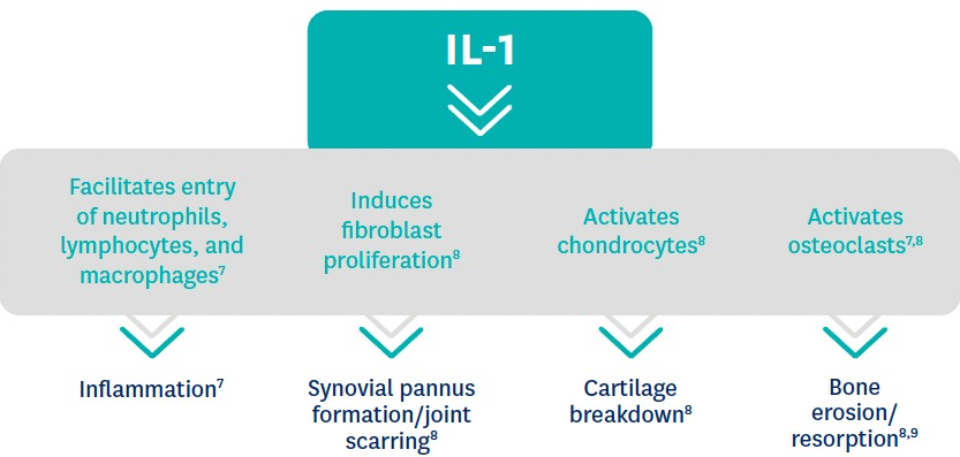 il-1-infographic